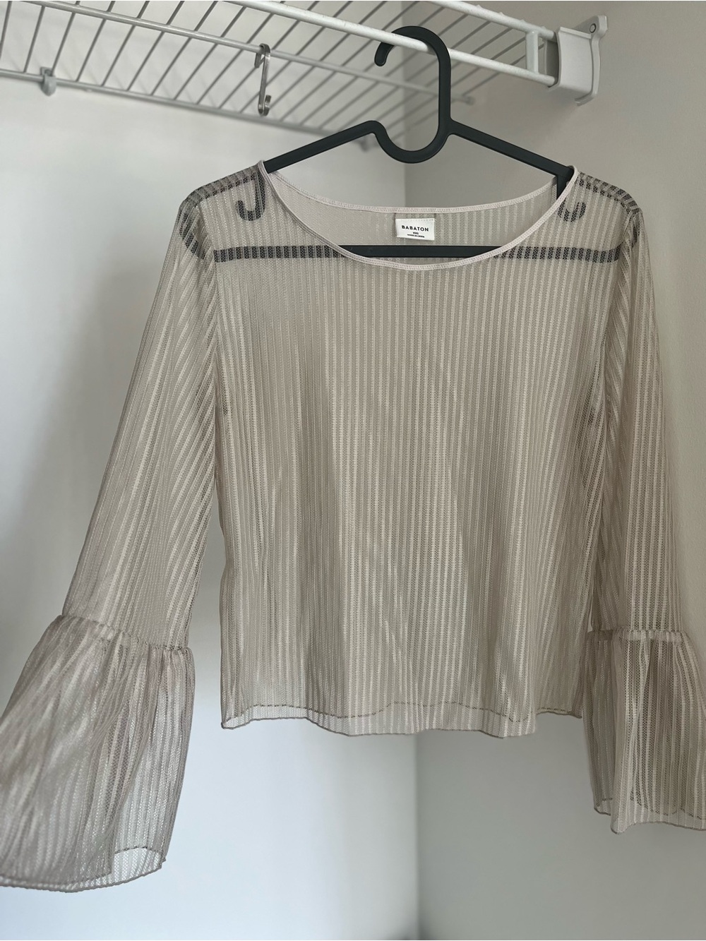 Babaton Sheer Long-Sleeve Blouse in Taupe-Grey